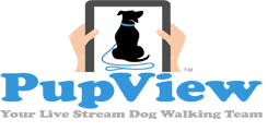 PupView